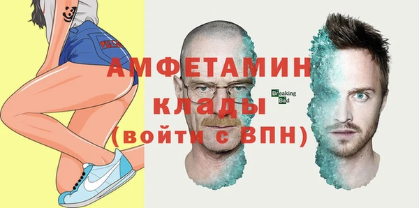 молекула духа Михайлов