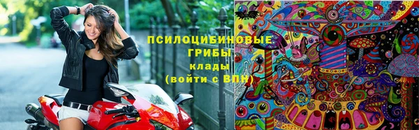 молекула духа Михайлов