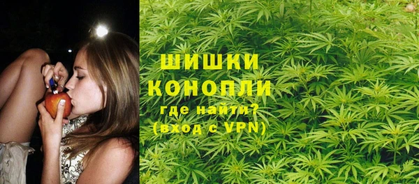 молекула духа Михайлов