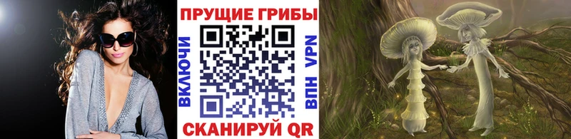 Псилоцибиновые грибы Magic Shrooms  площадка официальный сайт  Буй 