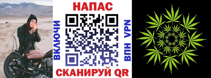 Конопля семена  Буй 